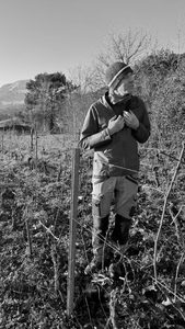 Domaine Apffel