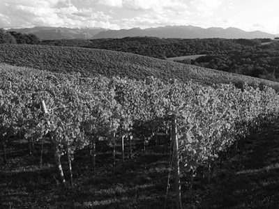 Domaine Castéra